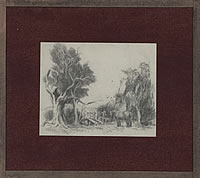 Horse and trees
