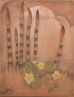 Horsetail shoots (Equisetum sp)...