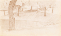 Trees in the Borghese Gardens
