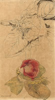 Gloxinia, 1934