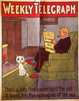 That's a jolly fine paper said the cat