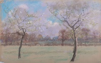 Trees in Blossom