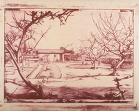 Trees in the Garden
