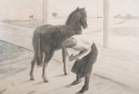 Shoeing a Horse
