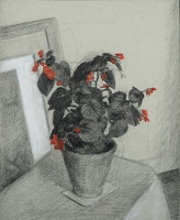 Flowers on a Table