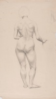 Full length standing nude rear view