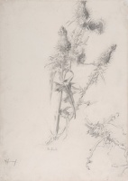 The Thistle