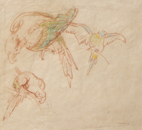 Parrot - Original Study for the...