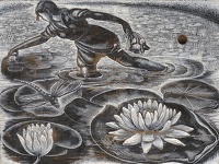 Gathering Lily Pads BPL 702 1954