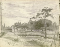 The Vegetable Garden