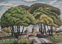 Trees over the Bridge at Brechin
