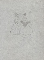 Sheep with lamb