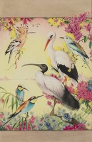 Exotic Birds