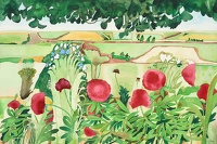 Poppy landscape