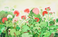 Flowers in the Garden