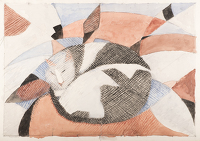 Fat cat sleeping