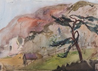 Umbrella pine tree and farm house