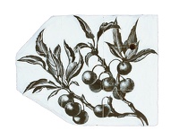 Beach Plum, BPL 703, circa 1954