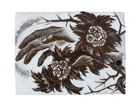Flowering of the Hawthorn, BPL 745