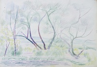 Trees in Kent circa 1953