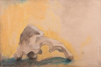 Abstract Study of a Fossil 
