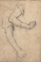 Study of arms and hands