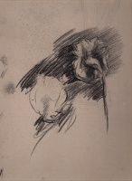 Study of roses, viewed from behind