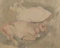 Two calves, 1930