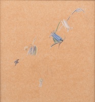 Study of bluebells for The Flight...