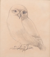 Owl, circa 1922