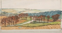 Elm trees near Kingston, 1929