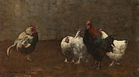 Fowls, 1896