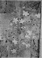 Winter lace I