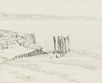 Groynes and Shoreline