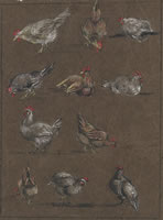 Study of Cockerels, 1924