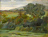 Hilly landscape with tree and bushes...