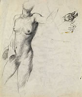 Study of a partial nude