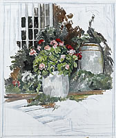 Geraniums in Barrel, 1970