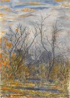 Winter woodland with cottage