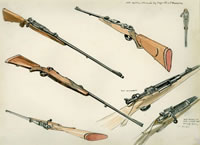 Borrowed gun for Liliput...
