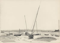 Estuary