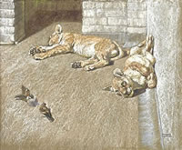 Two Cubs Eyeing Sparrows in London Zoo