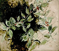 A sprig of holly, 1990