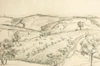 Orvieto, a rolling landscape