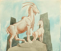 Alpin wild goats, 1960